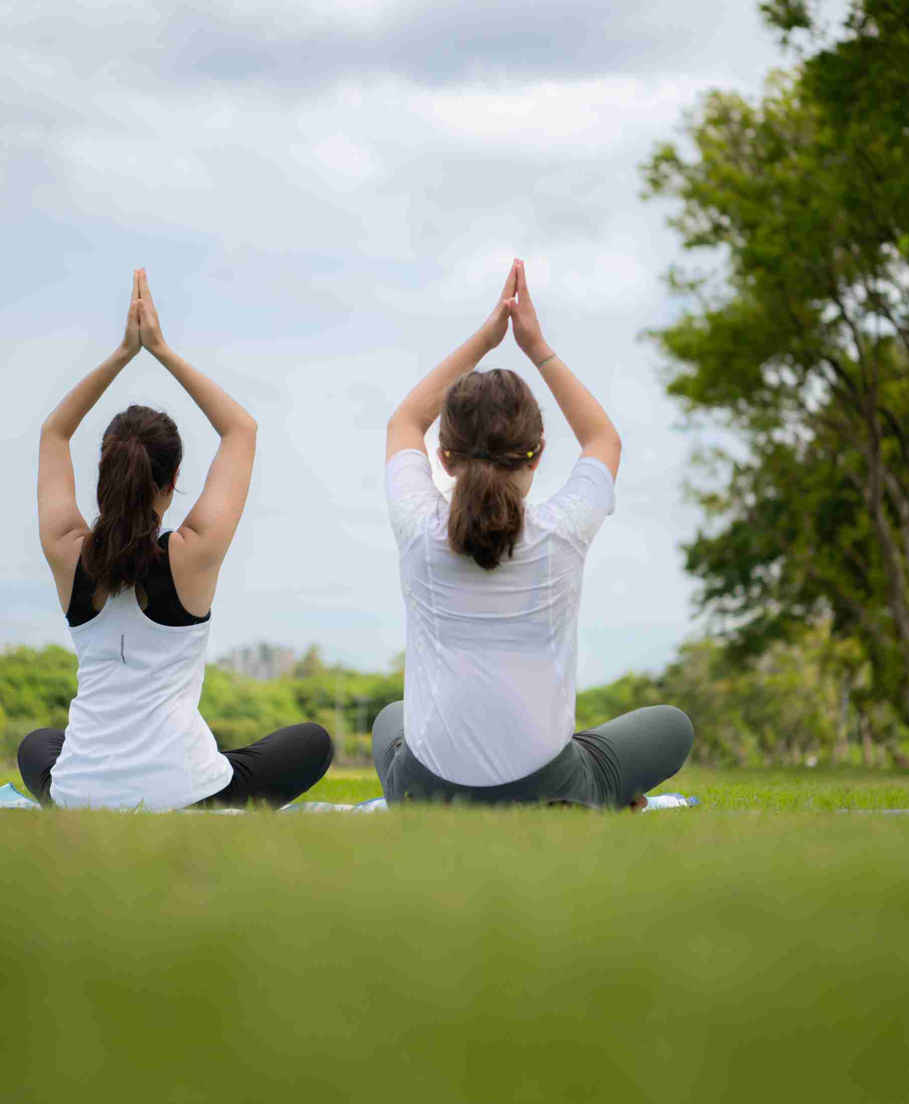 Healthy Living Environment